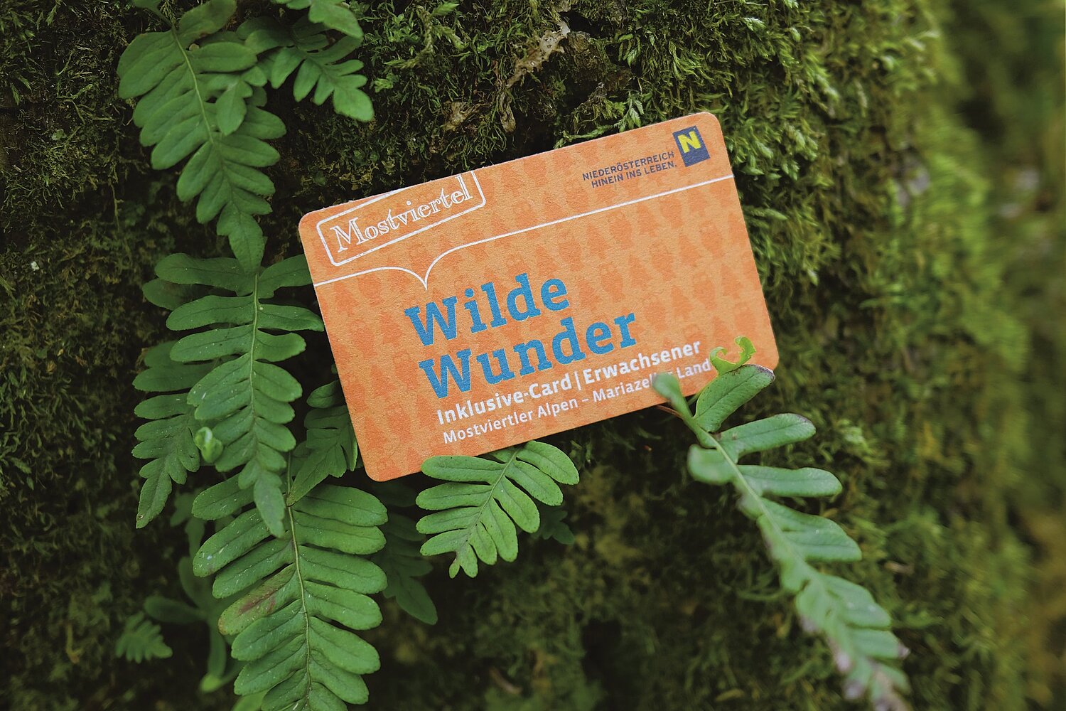 Gäste-Card der AVS: Wilde Wunder-Card Abbildung der Wilden Wunder-Card von Mostviertel Tourismus